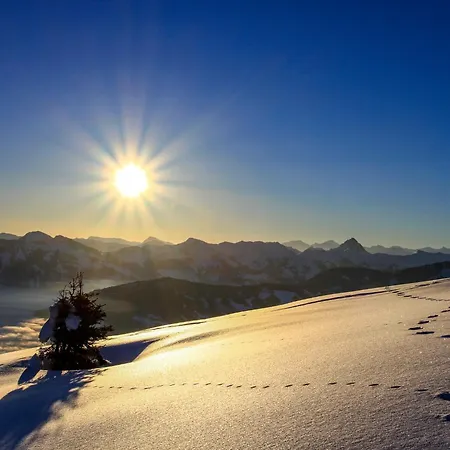 Berganger - Wil421 By Interhome Thierbach